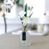 [It`s my flower] Birth Flower daffodil diffuser set of January, Air Freshener _ Made in KOREA